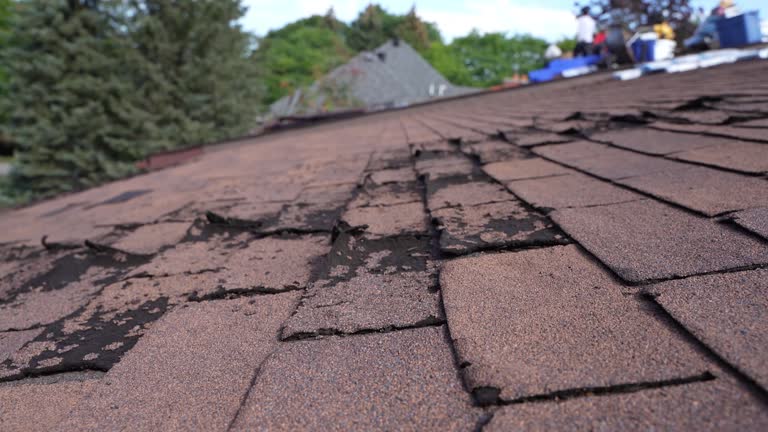 Best Roof Maintenance and Cleaning  in Baytown, TX